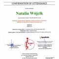 Powiększ obraz: certificate 9