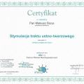 Powiększ obraz: certificate 42