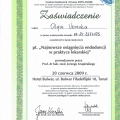 Powiększ obraz: certificate 7