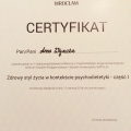Powiększ obraz: certificate 2
