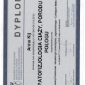 Powiększ obraz: certificate 11