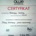 Powiększ obraz: certificate 3