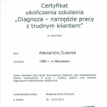 Powiększ obraz: certificate 6