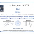 Powiększ obraz: certificate 12