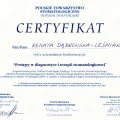 Powiększ obraz: certificate 42