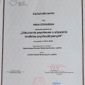 Powiększ obraz: certificate 3