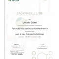 Powiększ obraz: certificate 4