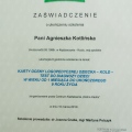 Powiększ obraz: certificate 6