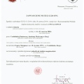 Powiększ obraz: certificate 2