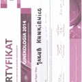 Powiększ obraz: certificate 9
