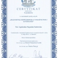 Powiększ obraz: certificate 7