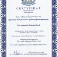 Powiększ obraz: certificate 11