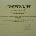Powiększ obraz: certificate 6
