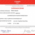 Powiększ obraz: certificate 28