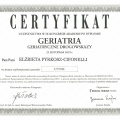 Powiększ obraz: certificate 2