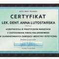 Powiększ obraz: certificate 11