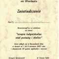 Powiększ obraz: certificate 18