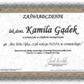 Powiększ obraz: certificate 2