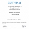 Powiększ obraz: certificate 1