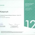Powiększ obraz: certificate 13