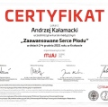 Powiększ obraz: certificate 38