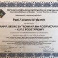 Powiększ obraz: certificate 4