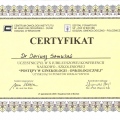 Powiększ obraz: certificate 37
