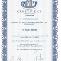 Powiększ obraz: certificate 24