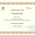 Powiększ obraz: certificate 5