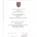 Powiększ obraz: certificate 2