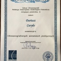 Powiększ obraz: certificate 44