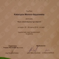 Powiększ obraz: certificate 11