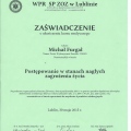Powiększ obraz: certificate 6