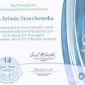 Powiększ obraz: certificate 7
