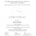 Powiększ obraz: certificate 9