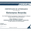 Powiększ obraz: certificate 3