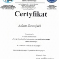 Powiększ obraz: certificate 6