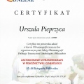 Powiększ obraz: certificate 31