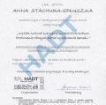 Powiększ obraz: certificate 6
