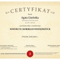 Powiększ obraz: certificate 155