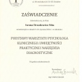Powiększ obraz: certificate 5