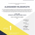 Powiększ obraz: certificate 1