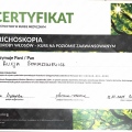 Powiększ obraz: certificate 4