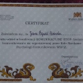 Powiększ obraz: certificate 21
