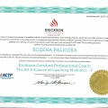 Powiększ obraz: certificate 13