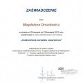 Powiększ obraz: certificate 31