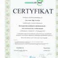 Powiększ obraz: certificate 6