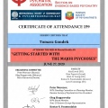 Powiększ obraz: certificate 41