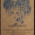 Powiększ obraz: certificate 13