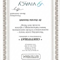 Powiększ obraz: certificate 25